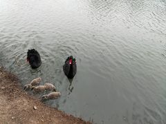 -宁波野生动物园