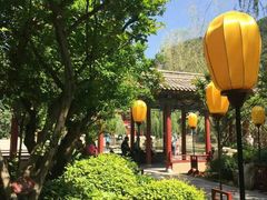 -西安华清御汤酒店