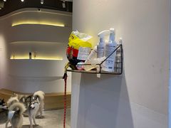 -Husky Go! 哈士奇体验馆·宠物咖啡厅狗咖