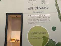 -同里国家湿地公园