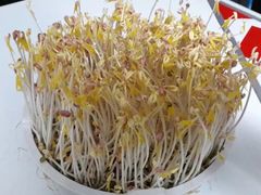 -莲塘味宝园牛杂(天越翔园店)