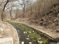 -白水寺森林公园