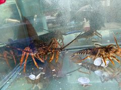 -天天渔港(杏林街店)