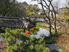-上海醉白池公园