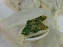 韭菜猪肉水饺-宝印真饺(瑞景总店)