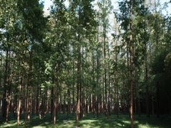 -河南省黄河迎宾馆