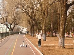 -黛秀湖公园