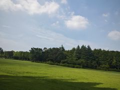 -宜兴龙背山森林公园