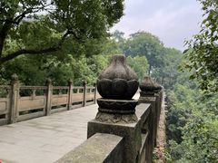 -南山植物园