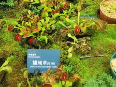 -国家植物园南园