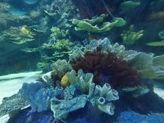 -欢乐海岸海洋奇梦馆
