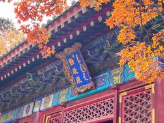 -香山公园