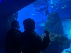-海合安武汉极地海洋公园