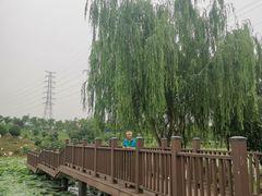 -咸阳湖景区