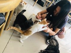 -平行世界·猫咖(首经贸店)