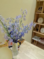 -小颜秘家·韩国整骨