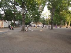 -井之头恩赐公园