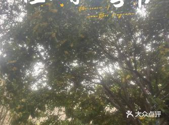 有的小店门口人流量大，竟然排起长队可见生意的好