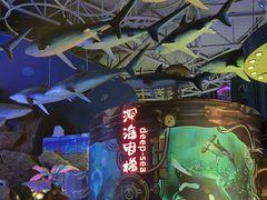 -烟台海昌鲸鲨海洋公园