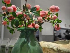 -小豆海棠(嘉兴路店)