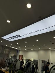 点击看大图 -藤野造型