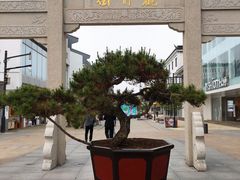 -采芝斋评弹茶馆(观前街店)