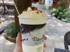 -茶颜悦色(岳麓山顶店)
