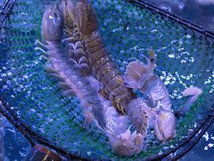 -多迷烫菜广场(水心大厦店)