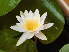 -灵山胜境