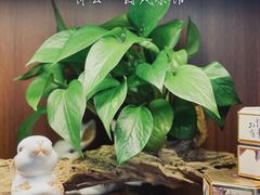 -中和·国风茶馆(愚园路店)