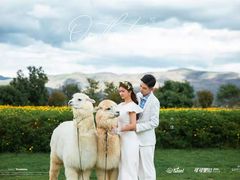 -爱我旅拍婚纱摄影(大理店)