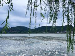 -鸣鹤古镇