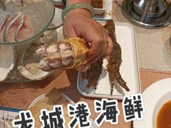 虾姑-欧记·龙城港(欣都店)