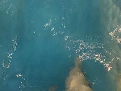 -杭州浪浪浪水公园
