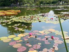 -国家植物园南园