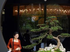 -椿杨樘·明康泡浴养生馆(重庆店)