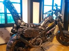 -信不信由你博物馆