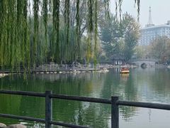 -莲湖公园