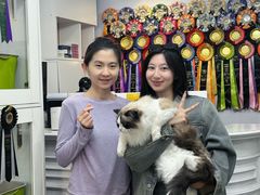 -青奢宠物·青奢猫舍