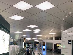 -郑州新郑国际机场