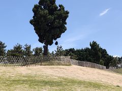 -青岛海滨风景区小鱼山