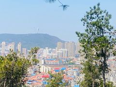 -青龙山国家森林公园