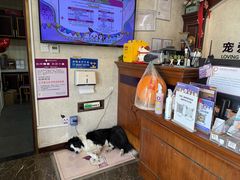 -宠爱国际动物医院·疑难骨科·心肾内科·皮肤科(太阳宫店)