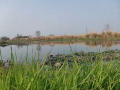 -中国天府农业博览园