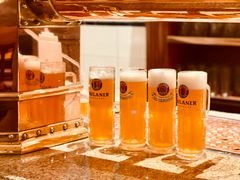 -沈阳瑞士酒店·普拉那啤酒坊