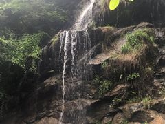 -少华山国家森林公园