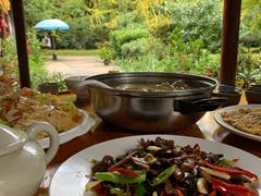 油蘑菇-腾冲国萍农家乐