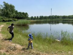 -永定河休闲森林公园