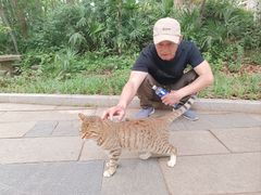 -青龙山国家森林公园