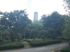 -深圳国际园林花卉博览园